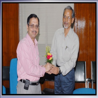 Plants: image 1 0f 4 thumb